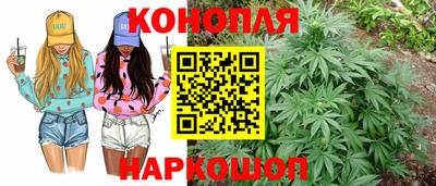 стаф Будённовск