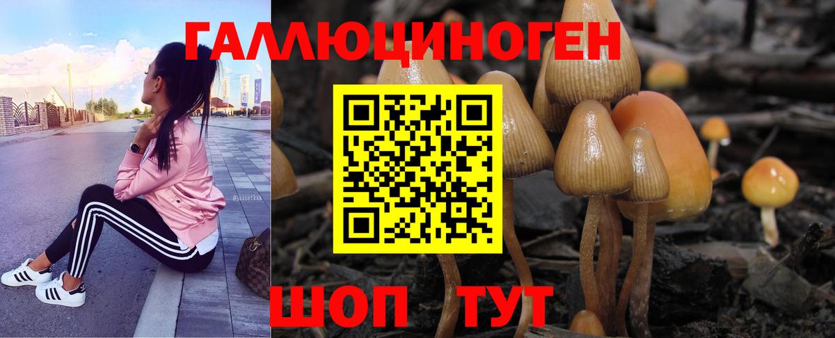 Галлюциногенные грибы мухоморы  Вход с VPN  Курск 